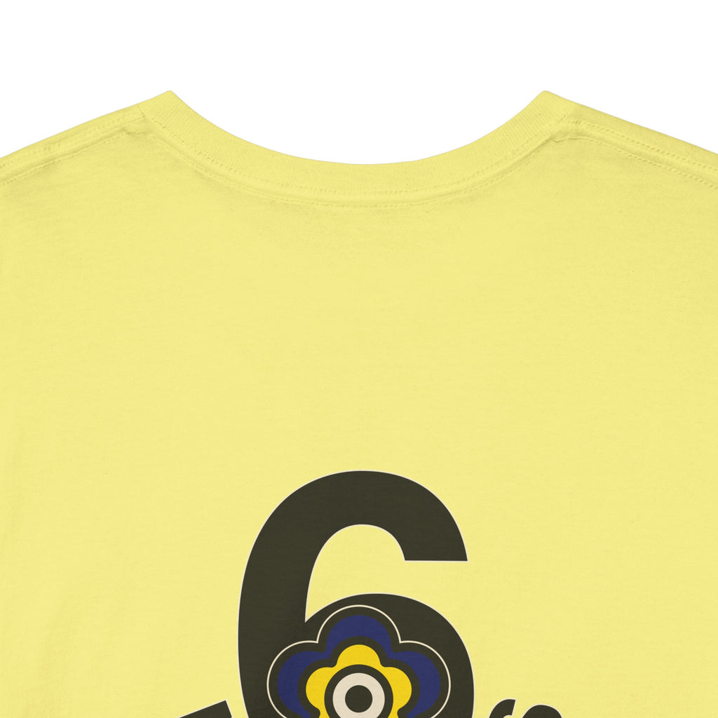 P🌺🌺P2Poppies 6 Months Sober – Motivational Recovery T-Shirt