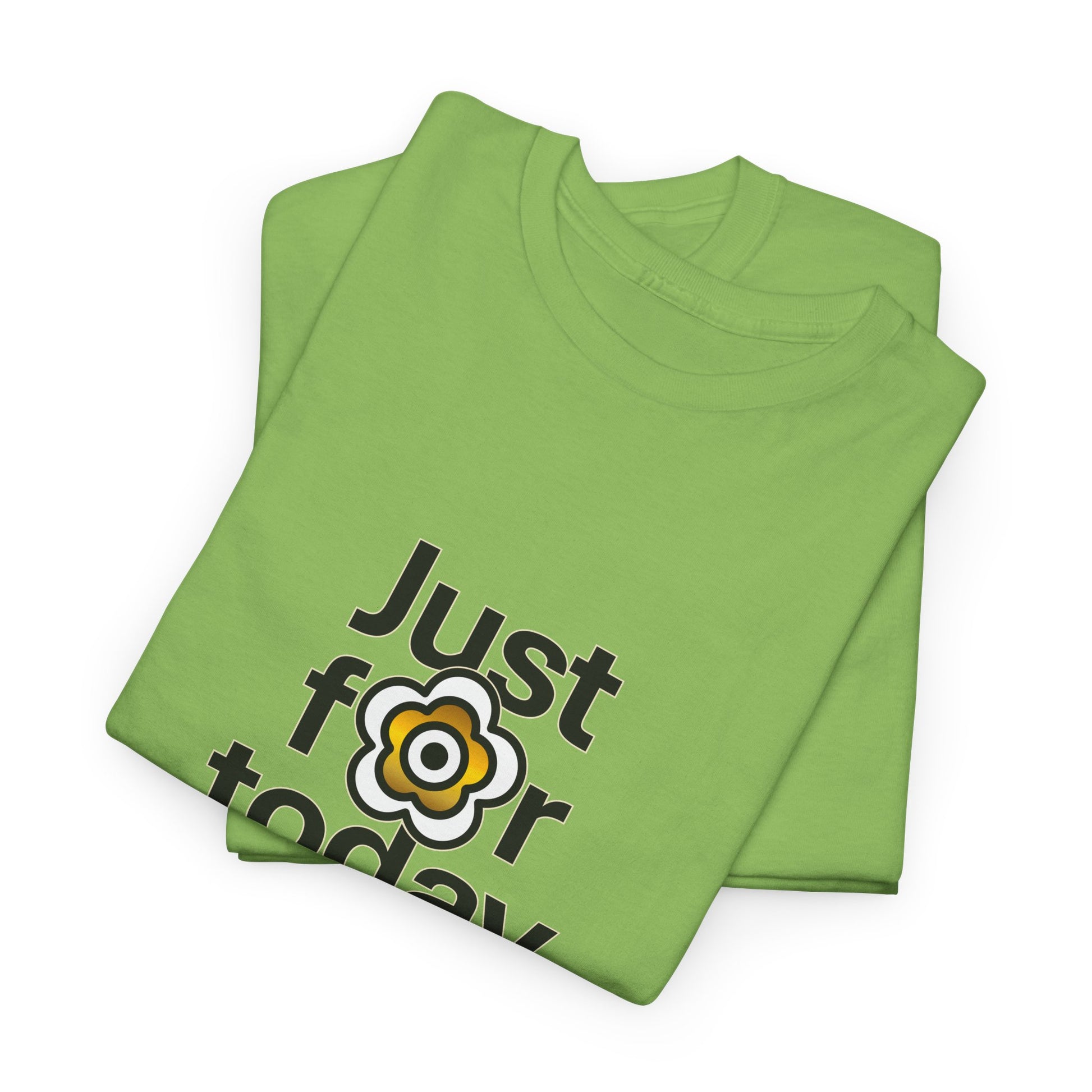 P🌺🌺P2Poppies Just for Today – Motivational Recovery T-Shirt