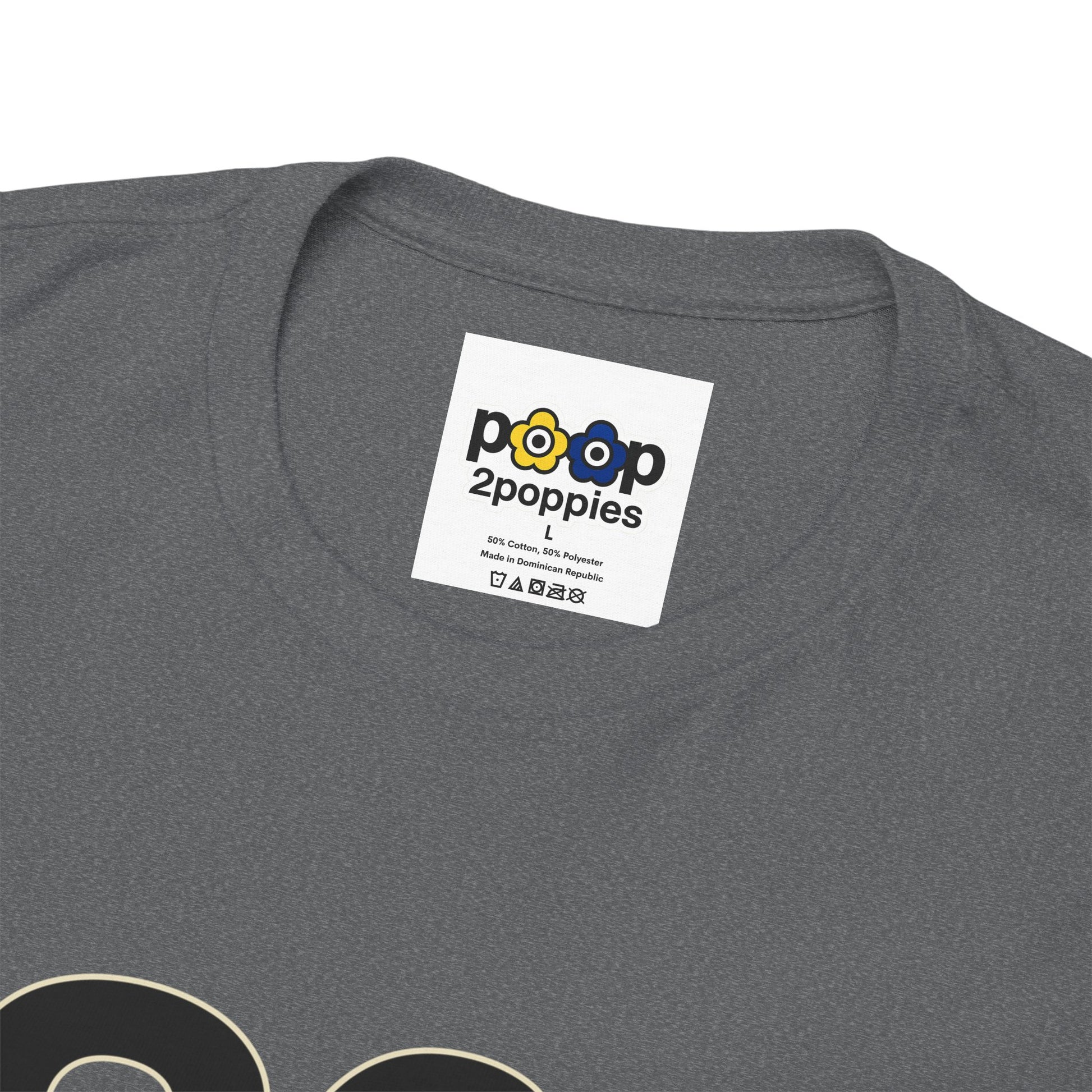 P🌺🌺P2Poppies 30 Days Sober – Motivational Recovery T-Shirt