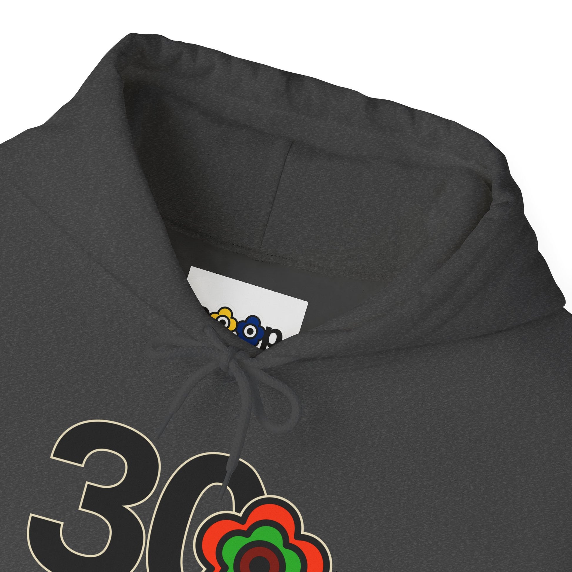 P🌺🌺P2Poppies 30 Days Sober Hoodie – Recovery Milestone Sweatshirt