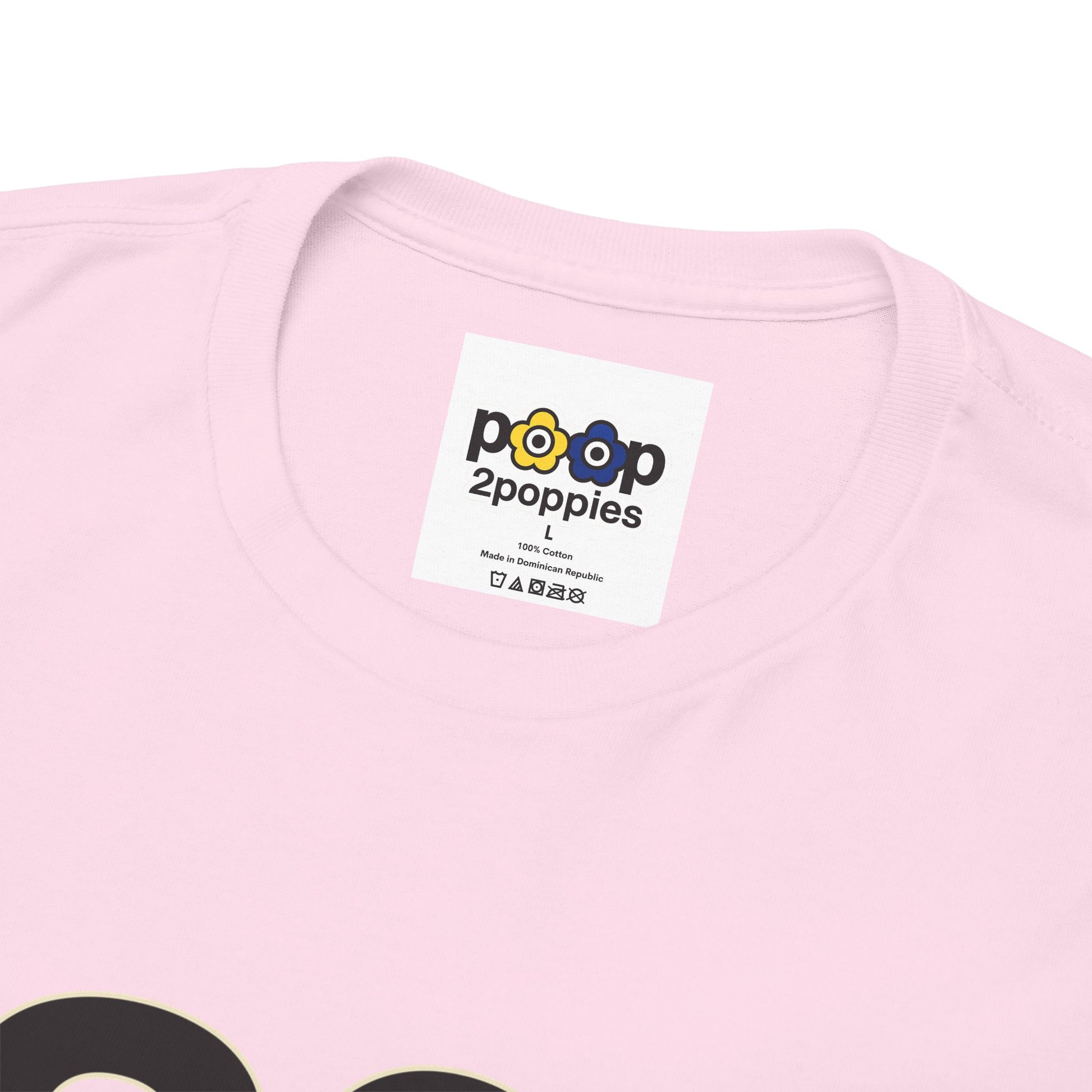 P🌺🌺P2Poppies 30 Days Sober – Motivational Recovery T-Shirt