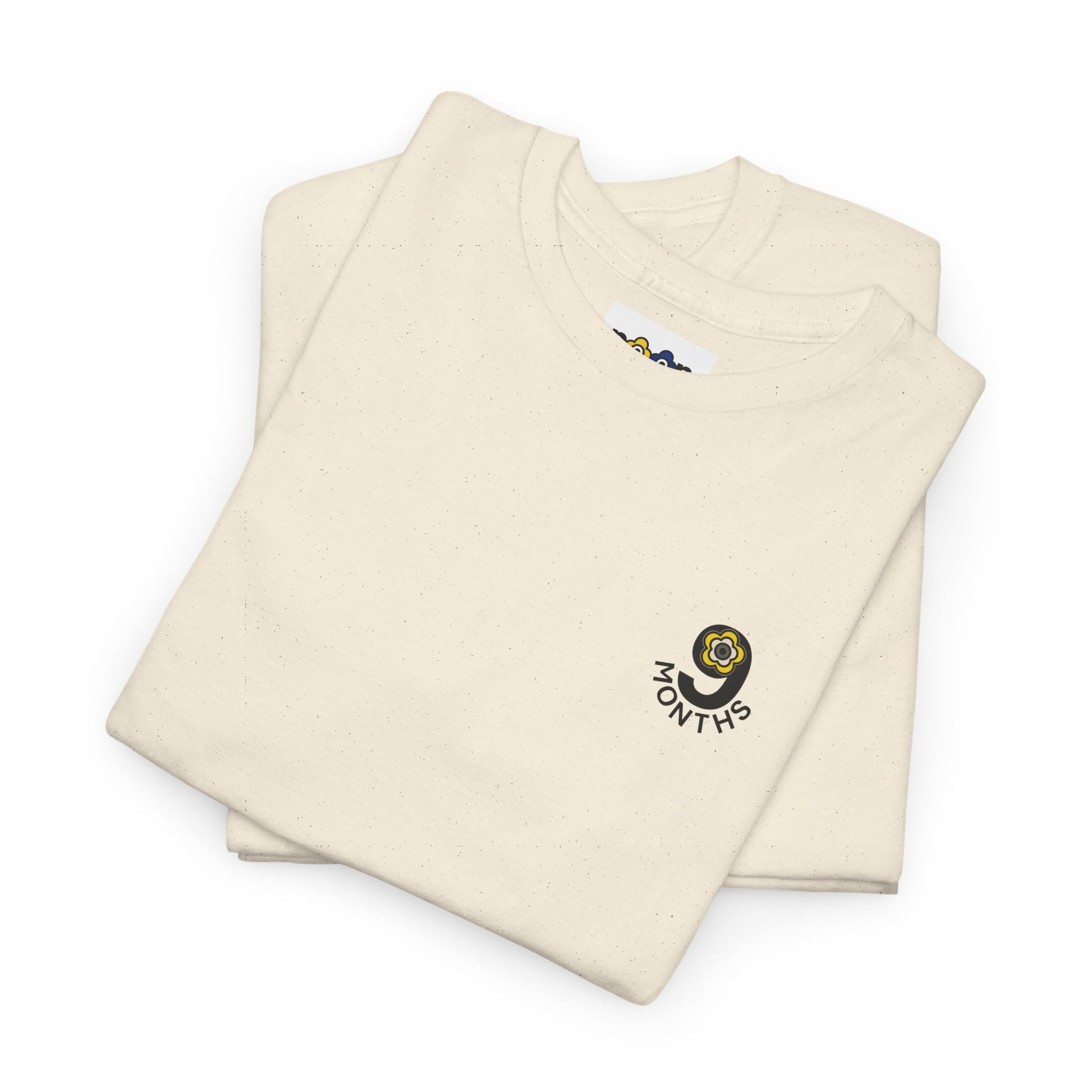 P🌺🌺P2Poppies 9 Months Sober – Motivational Recovery T-Shirt