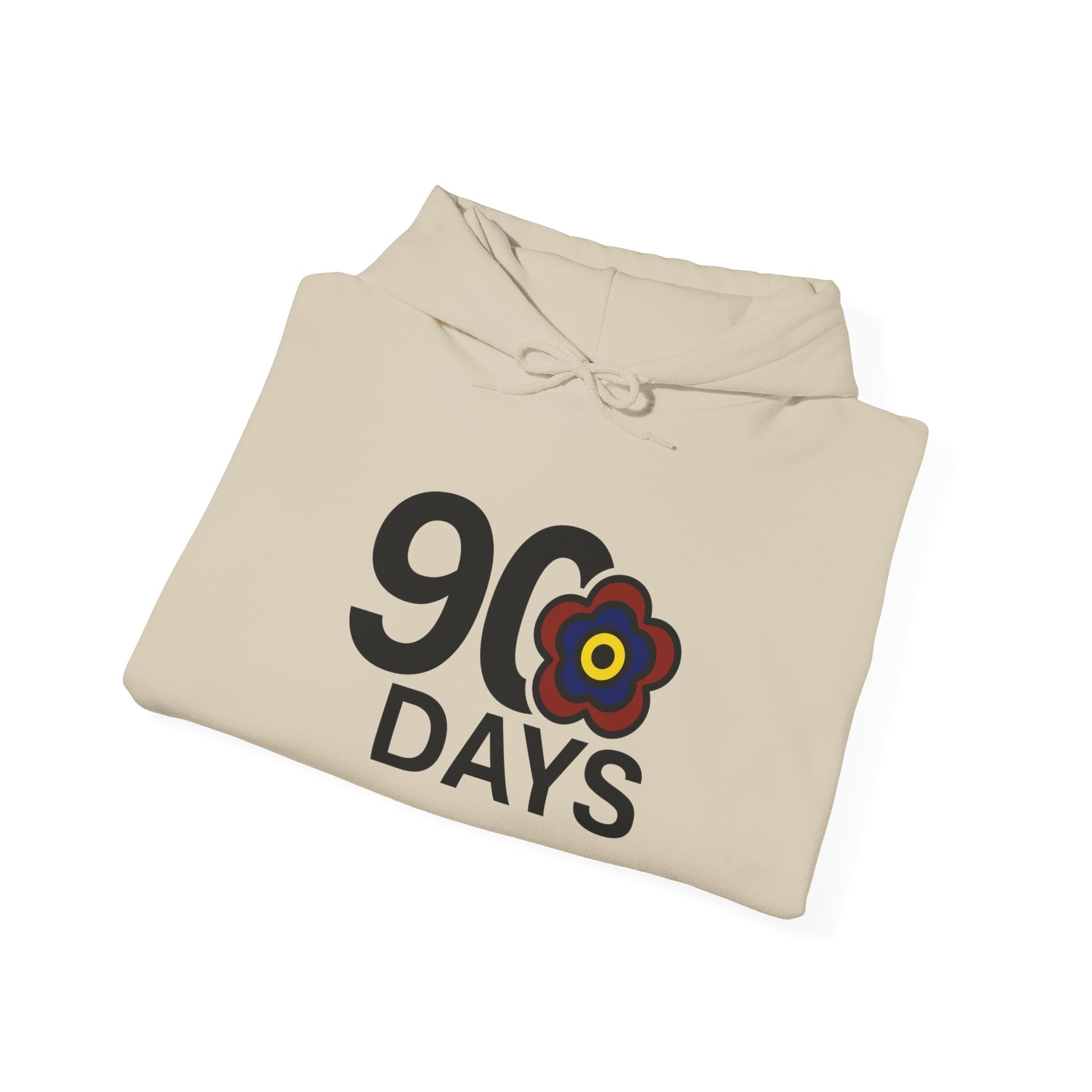 P🌺🌺P2Poppies 90 Days Sober Hoodie – Recovery Milestone Sweatshirt