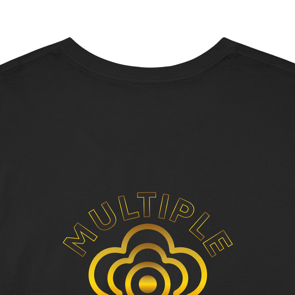 P🌺🌺P2Poppies Multiple Years Sober – Motivational Recovery T-Shirt