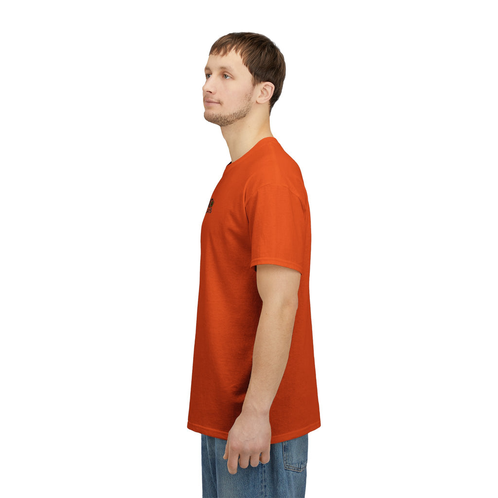 P🌺🌺P2Poppies 30 Days Sober – Motivational Recovery T-Shirt