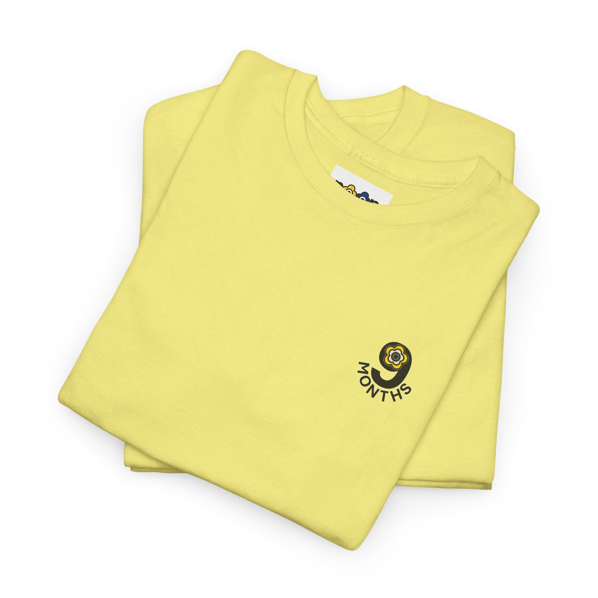 P🌺🌺P2Poppies 9 Months Sober – Motivational Recovery T-Shirt