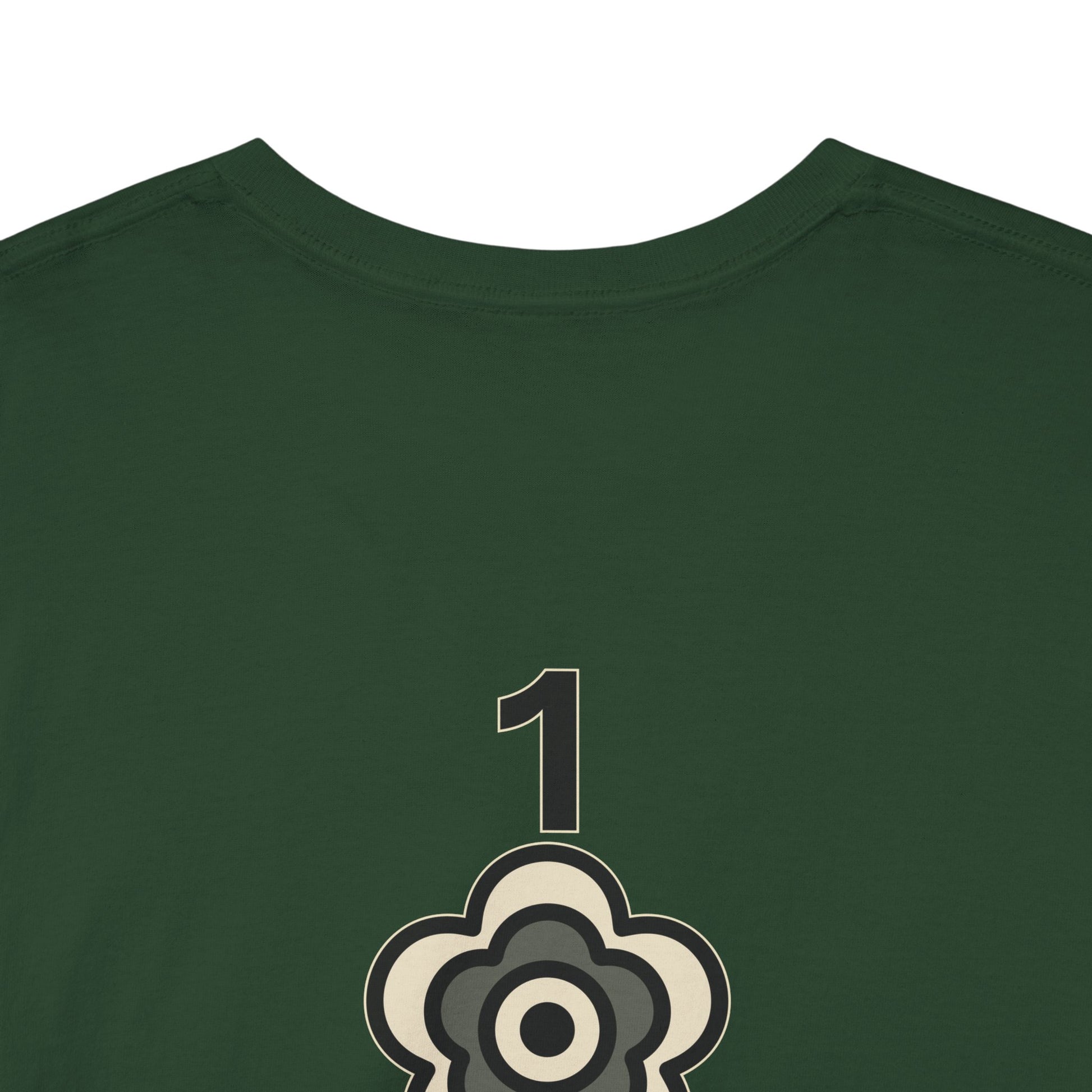 P🌺🌺P2Poppies 1 Year Sober – Motivational Recovery T-Shirt