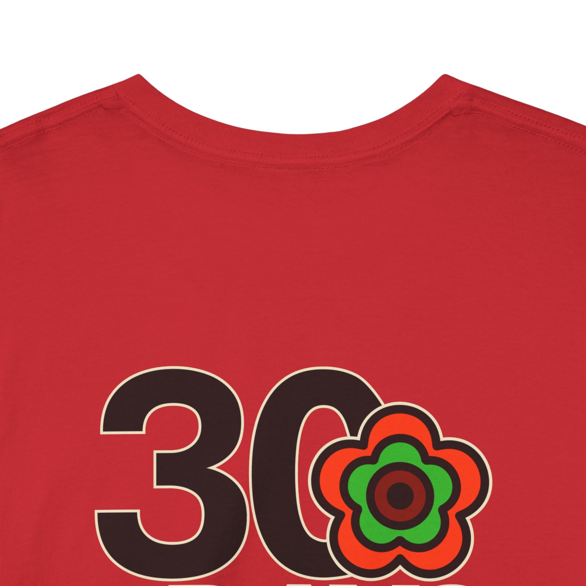 P🌺🌺P2Poppies 30 Days Sober – Motivational Recovery T-Shirt