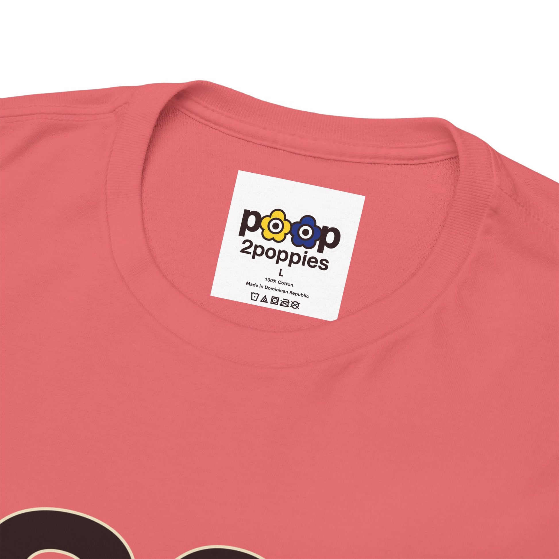 P🌺🌺P2Poppies 30 Days Sober – Motivational Recovery T-Shirt