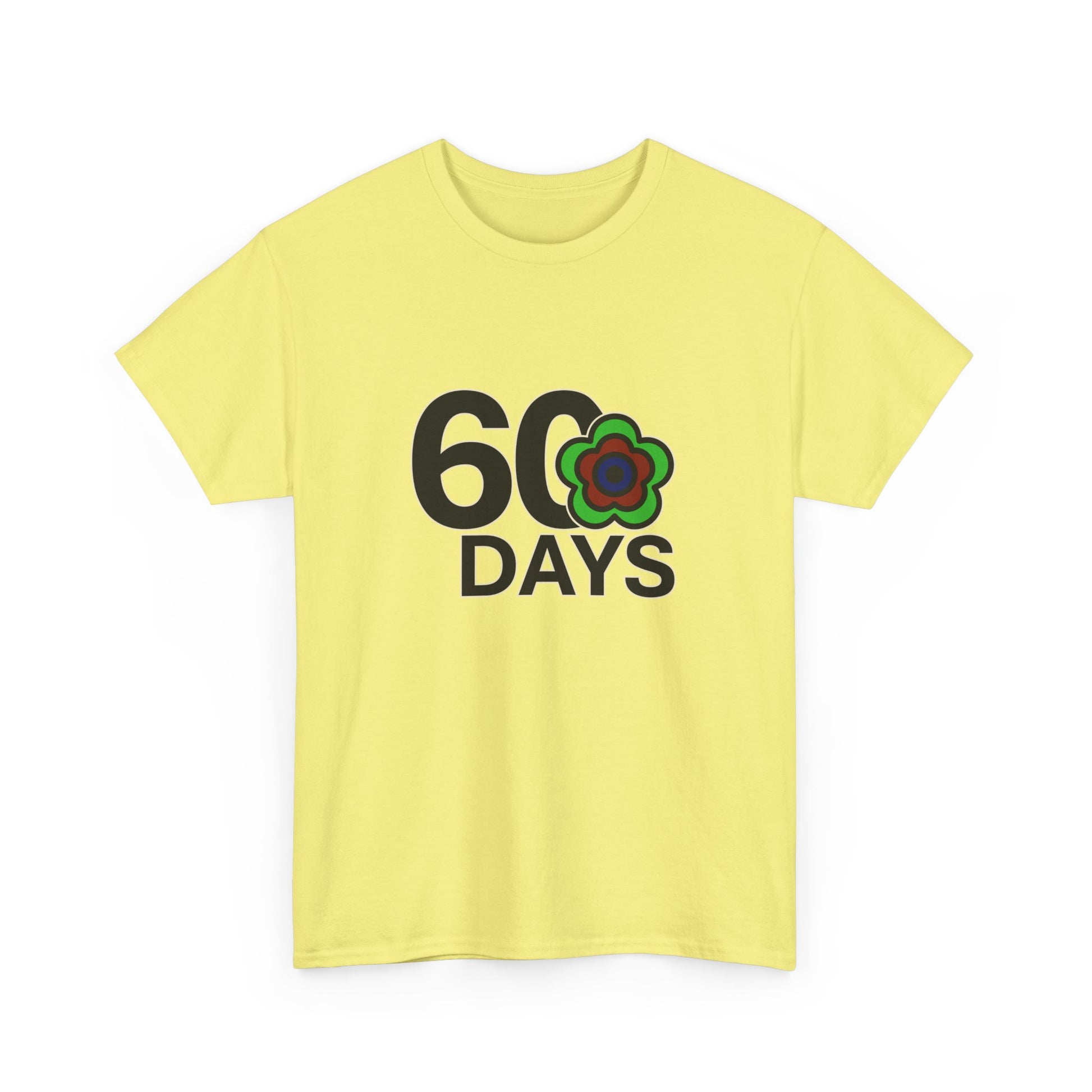 P🌺🌺P2Poppies 60 Days Sober – Motivational Recovery T-Shirt