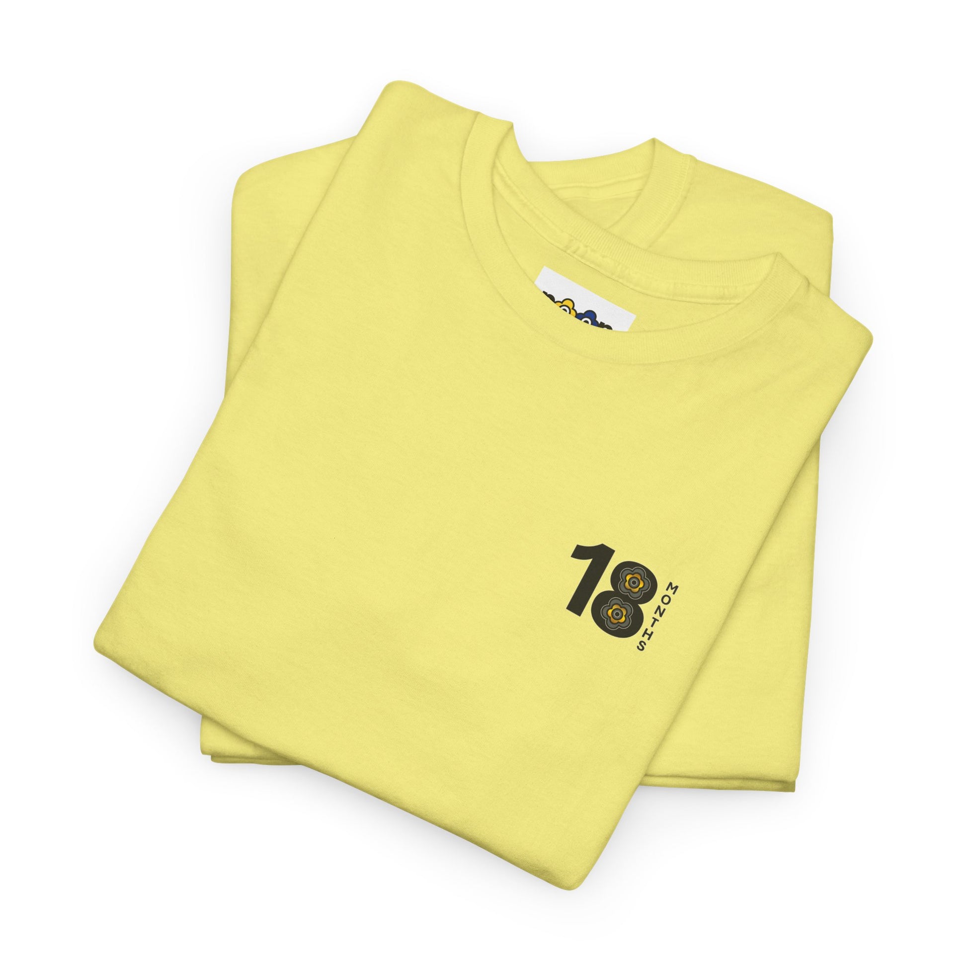 P🌺🌺P2Poppies 18 Months Sober – Motivational Recovery T-Shirt