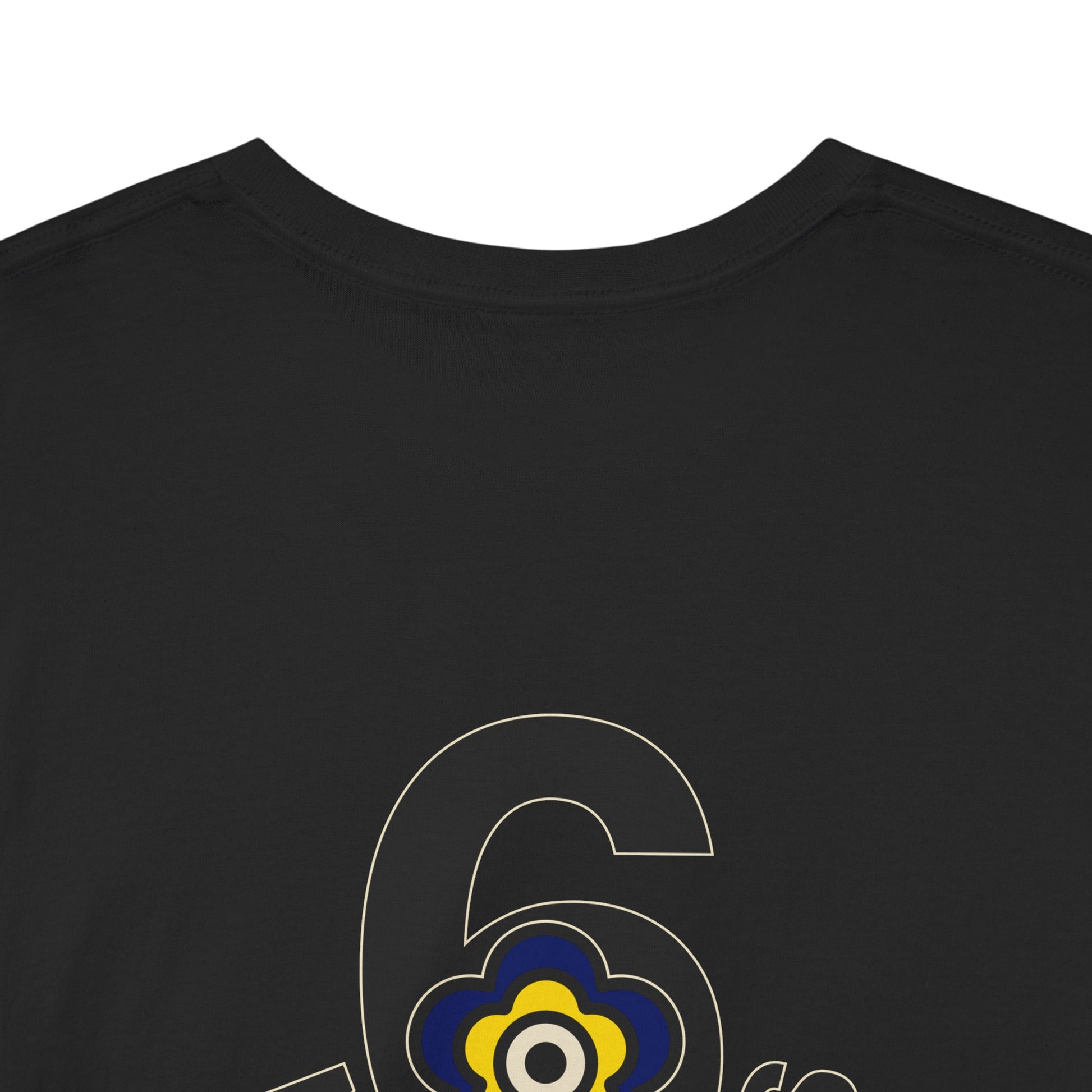 P🌺🌺P2Poppies 6 Months Sober – Motivational Recovery T-Shirt