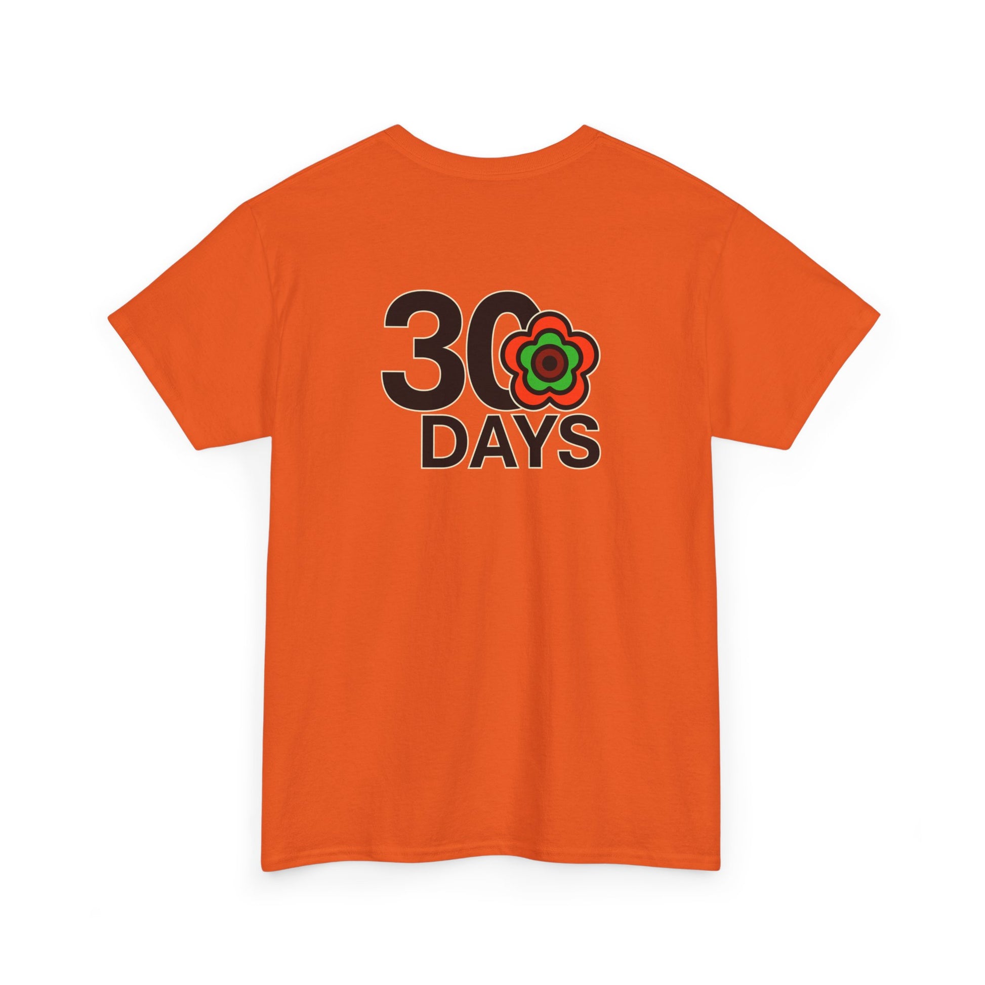 P🌺🌺P2Poppies 30 Days Sober – Motivational Recovery T-Shirt