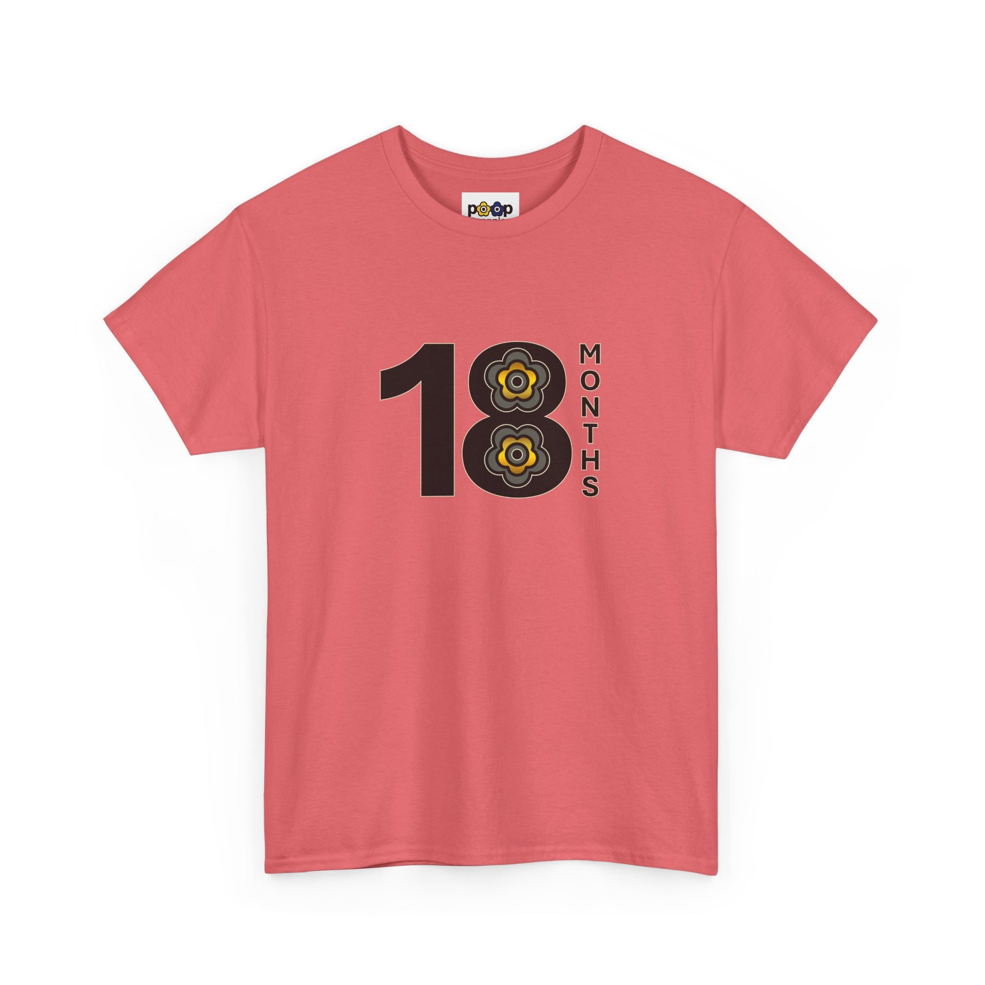 P🌺🌺P2Poppies 18 Months Sober – Motivational Recovery T-Shirt