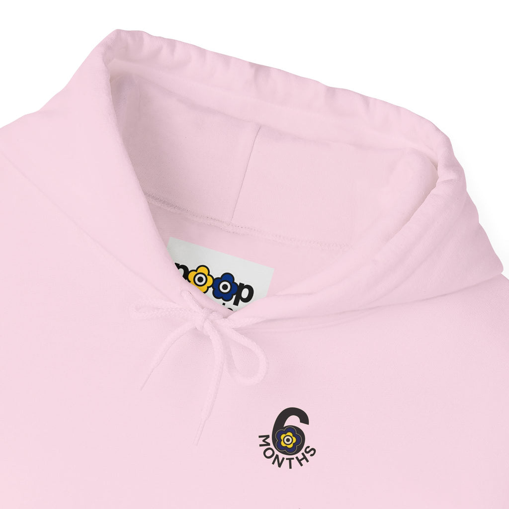 P🌺🌺P2Poppies 6 Months Sober Hoodie – Recovery Milestone Sweatshirt