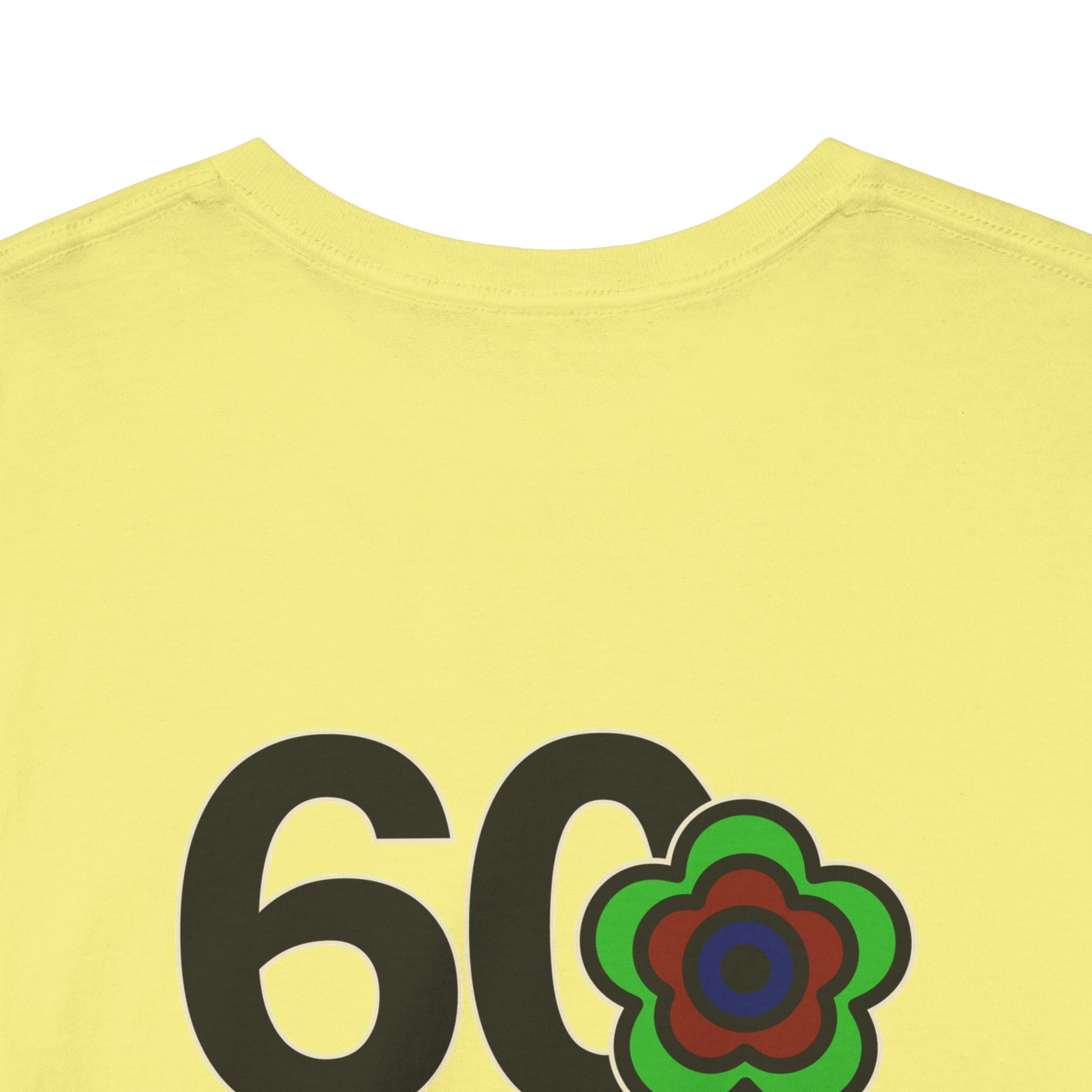 P🌺🌺P2Poppies 60 Days Sober – Motivational Recovery T-Shirt