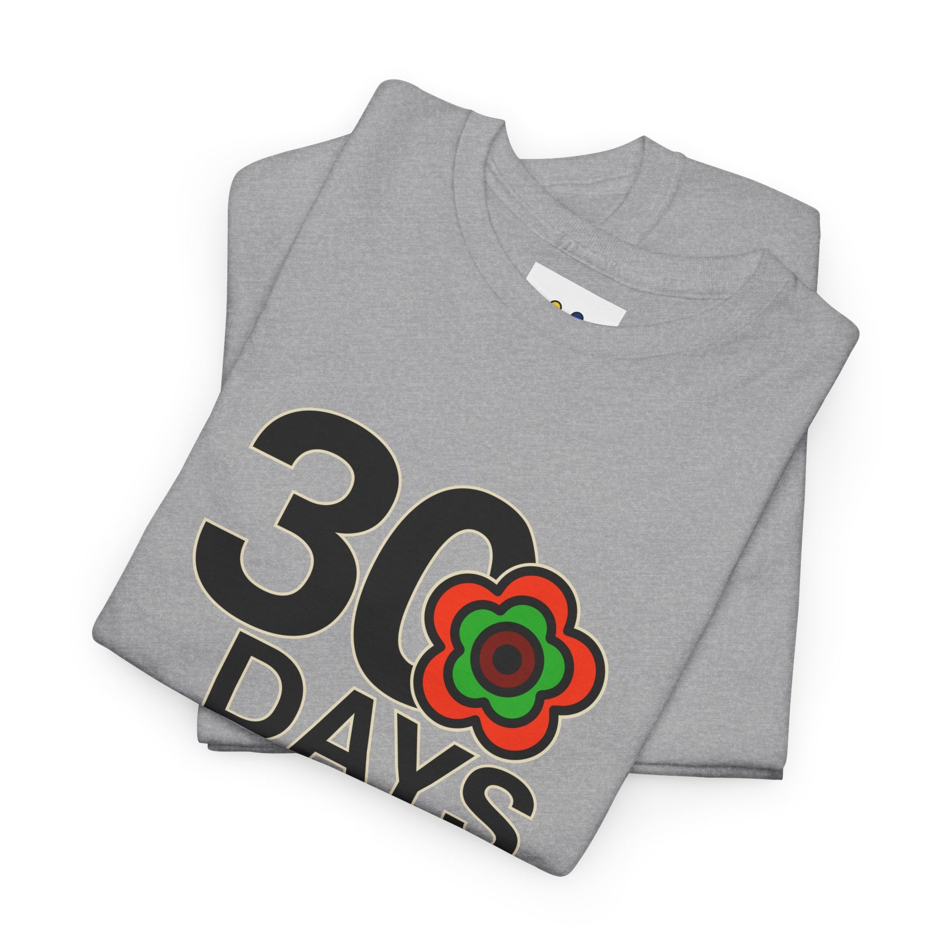 P🌺🌺P2Poppies 30 Days Sober – Motivational Recovery T-Shirt