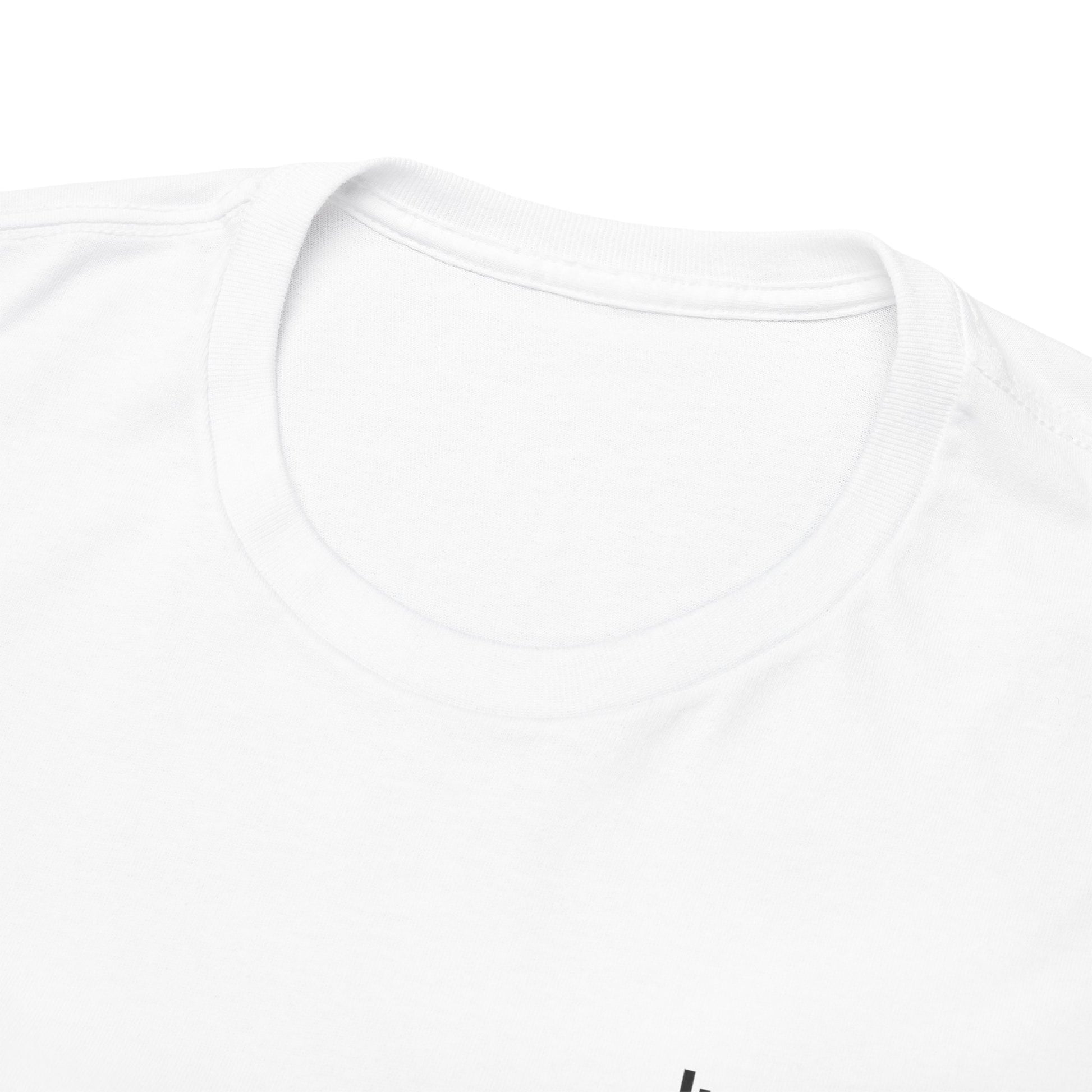 P🌺🌺P2Poppies Just for Today – Motivational Recovery T-Shirt