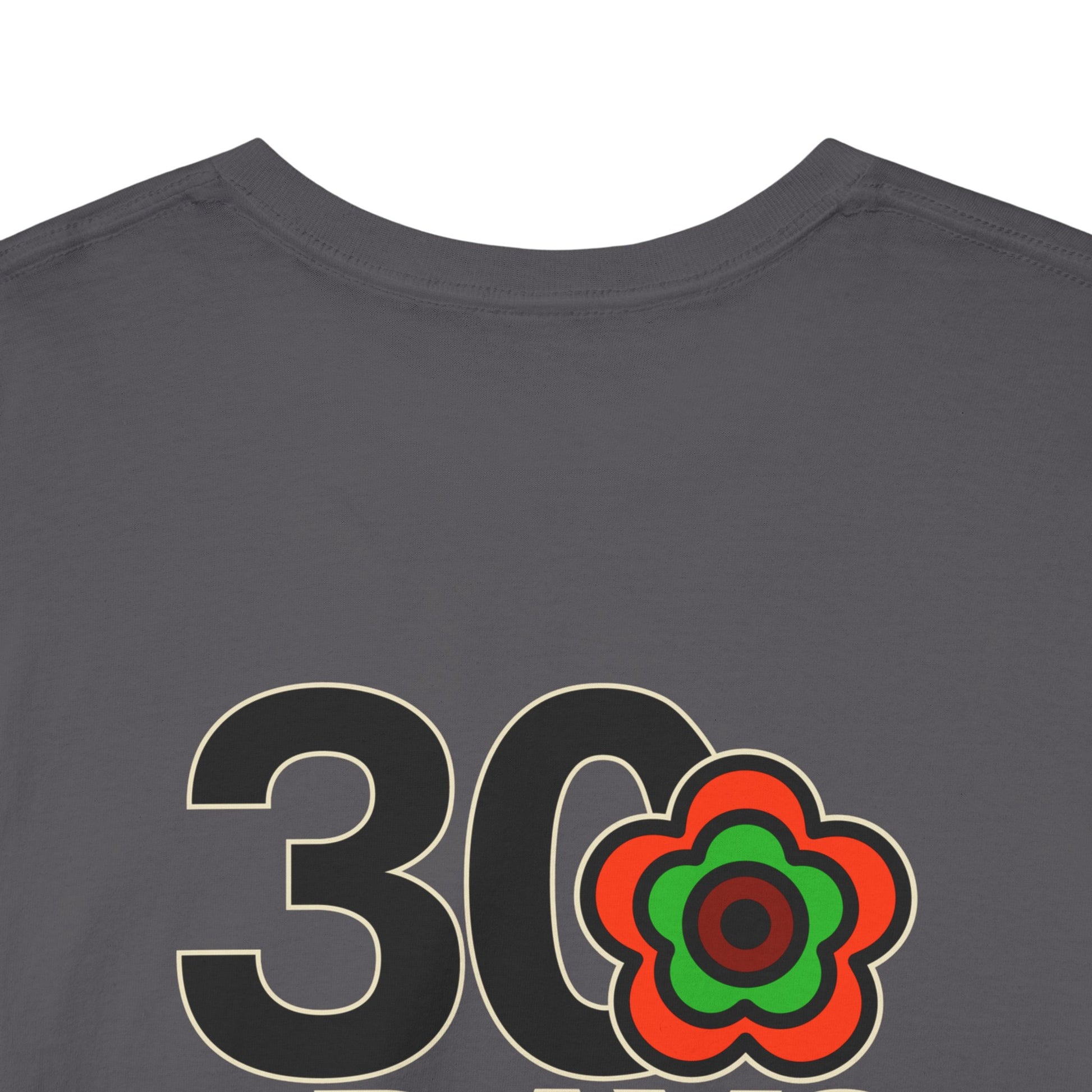 P🌺🌺P2Poppies 30 Days Sober – Motivational Recovery T-Shirt