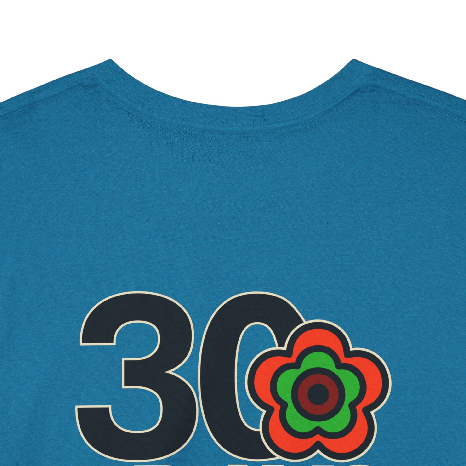 P🌺🌺P2Poppies 30 Days Sober – Motivational Recovery T-Shirt