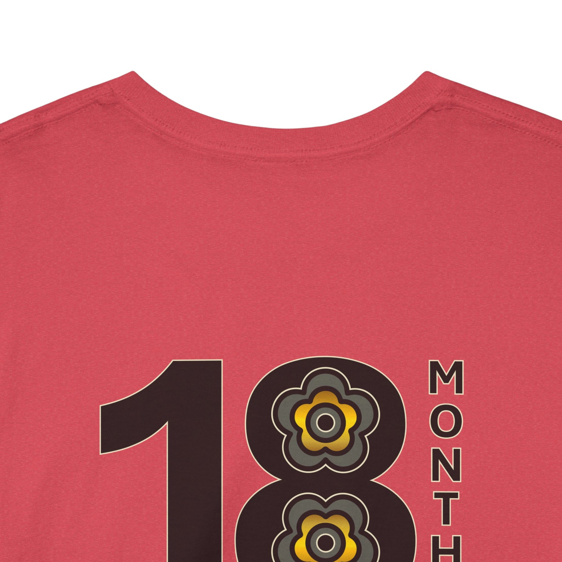 P🌺🌺P2Poppies 18 Months Sober – Motivational Recovery T-Shirt