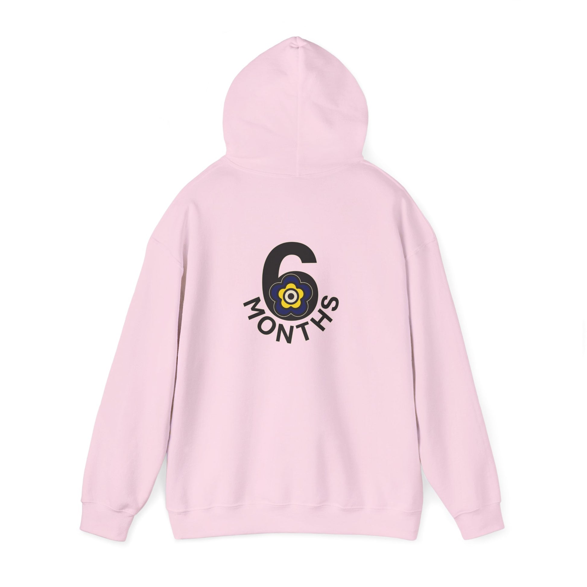 P🌺🌺P2Poppies 6 Months Sober Hoodie – Recovery Milestone Sweatshirt