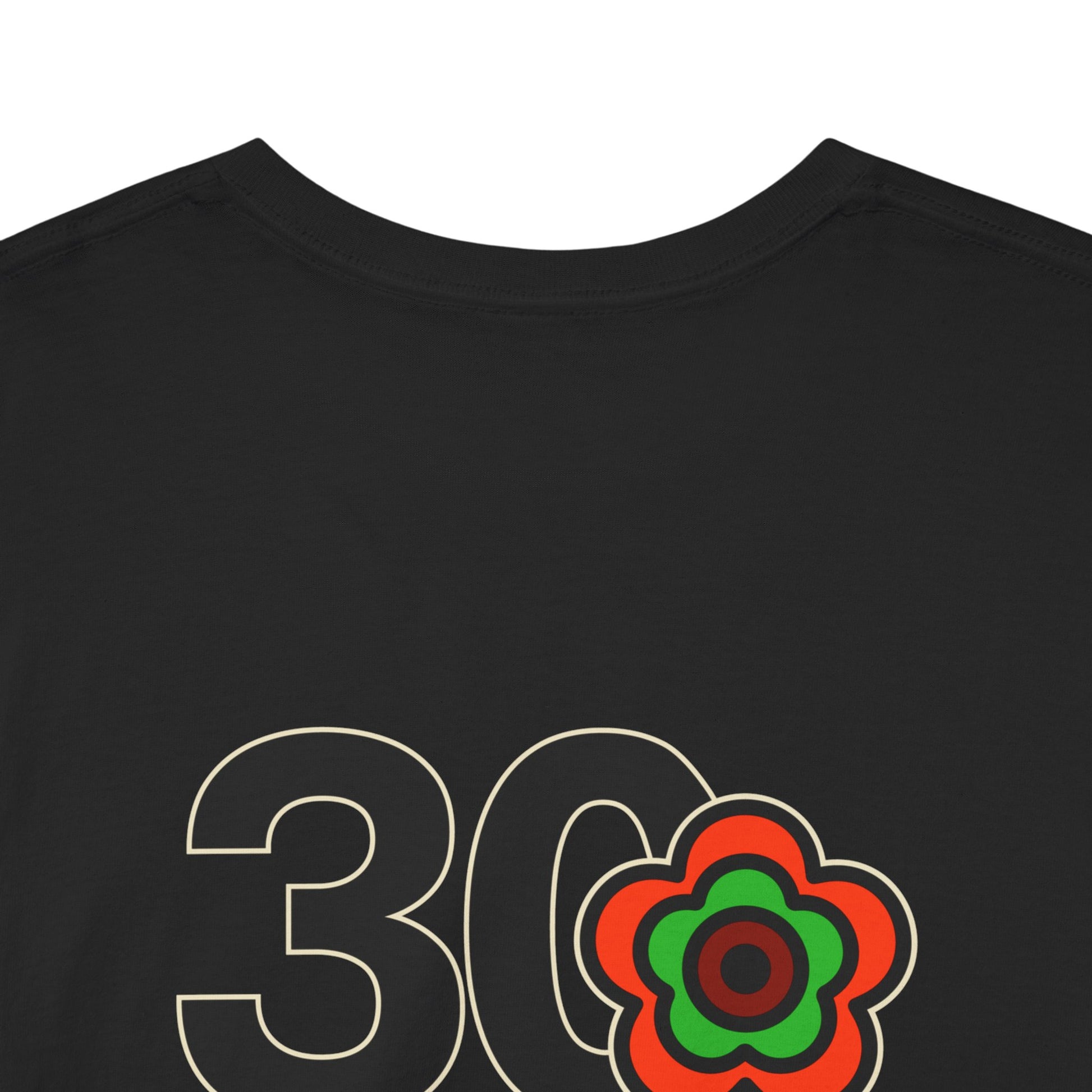 P🌺🌺P2Poppies 30 Days Sober – Motivational Recovery T-Shirt