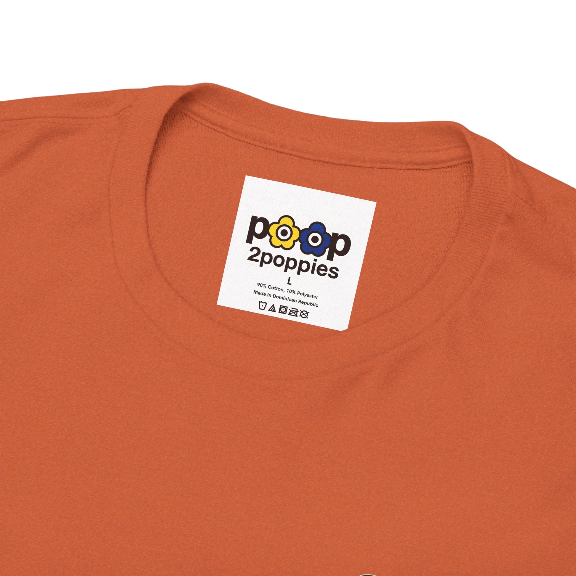 P🌺🌺P2Poppies 30 Days Sober – Motivational Recovery T-Shirt