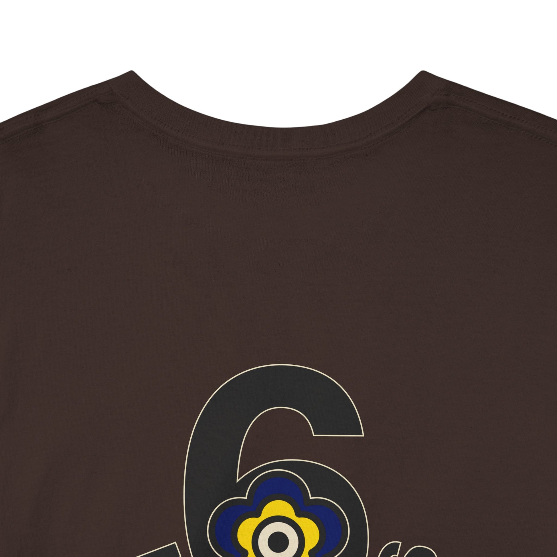 P🌺🌺P2Poppies 6 Months Sober – Motivational Recovery T-Shirt