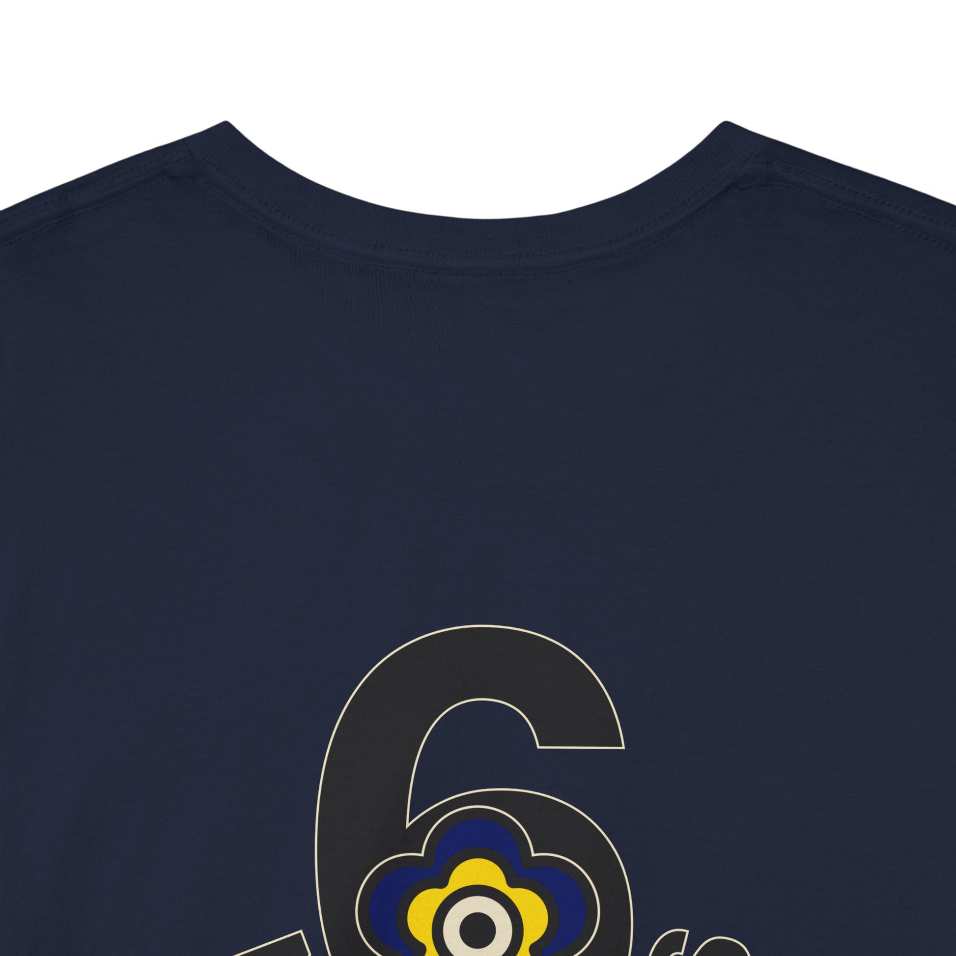 P🌺🌺P2Poppies 6 Months Sober – Motivational Recovery T-Shirt