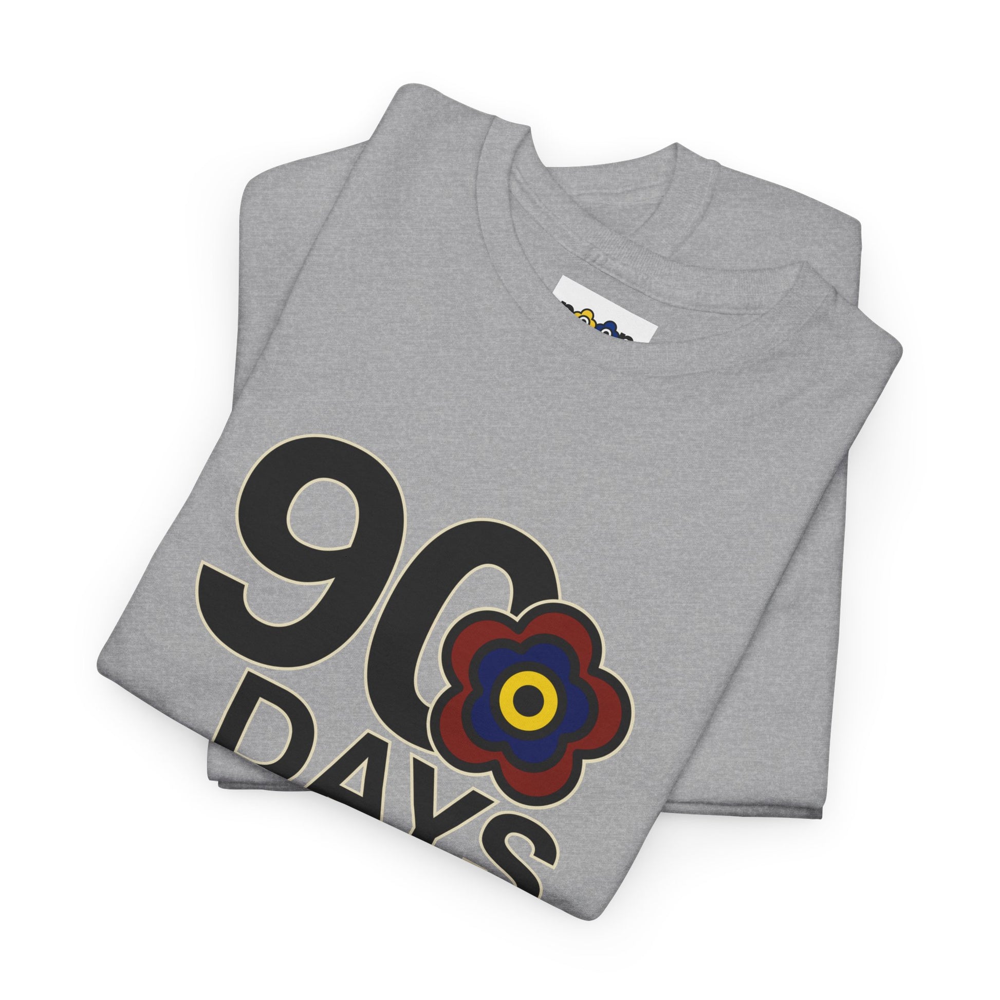 P🌺🌺P2Poppies 90 Days Sober – Motivational Recovery T-Shirt