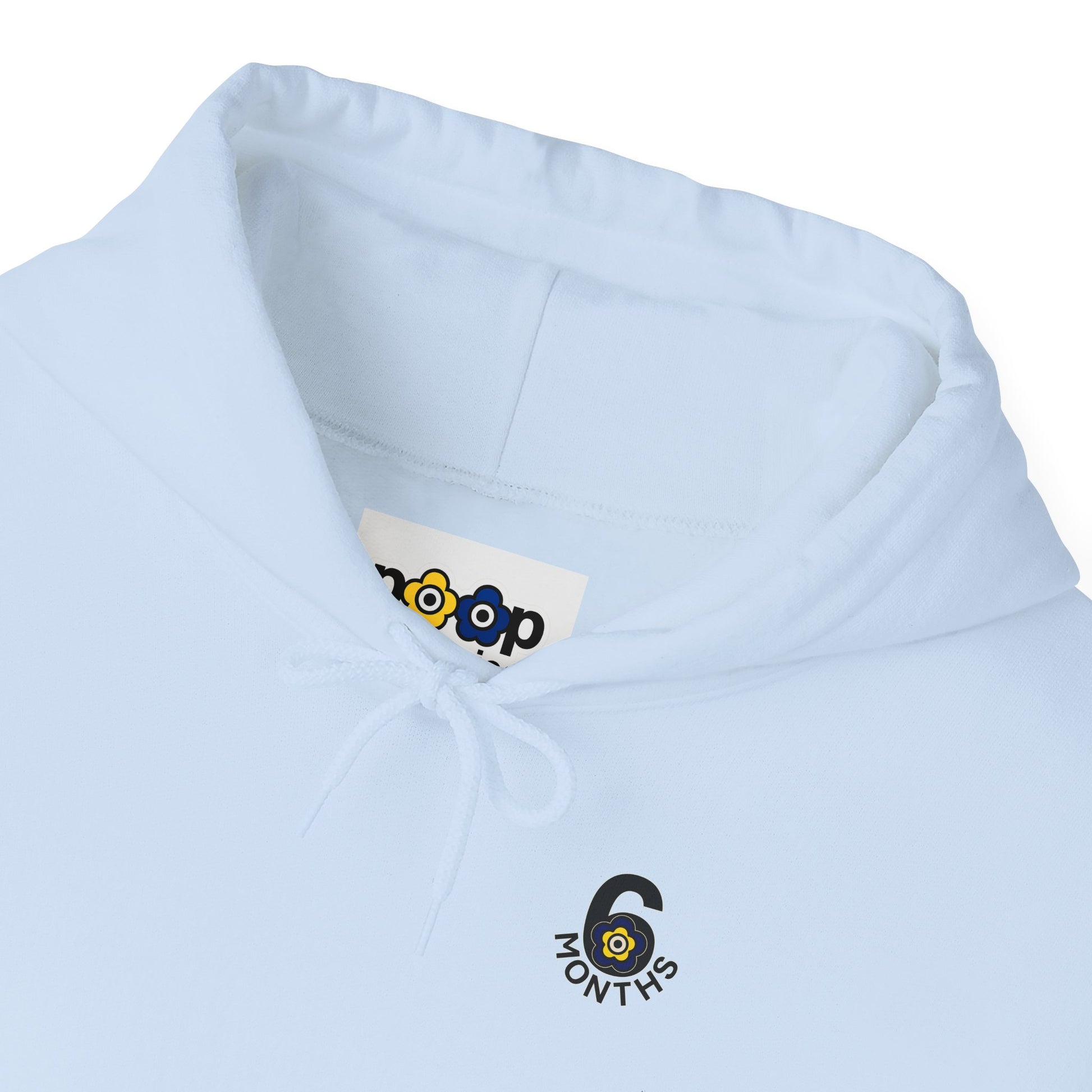 P🌺🌺P2Poppies 6 Months Sober Hoodie – Recovery Milestone Sweatshirt